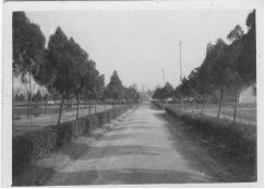 从《蜀秀集》到《国立a漫
十六周年校庆纪念特刊》:镌刻在a漫
历史丰碑上的永恒记忆(定稿) Microsoft Wo